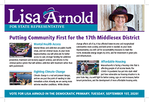 A multi-issue postcard for Lisa Arnold's campaign